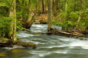 16  BV869-Bicknell-Brook-near-Crystal-Lake.jpg